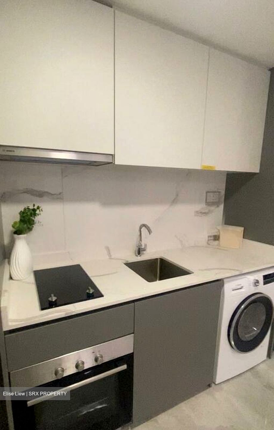 Affinity At Serangoon (D19), Apartment #522801701